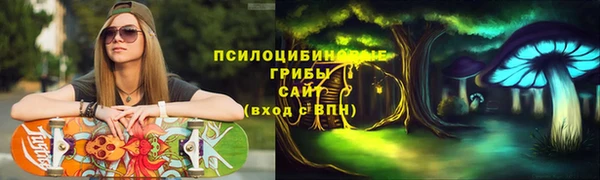 ГАЛЛЮЦИНОГЕННЫЕ ГРИБЫ Алзамай