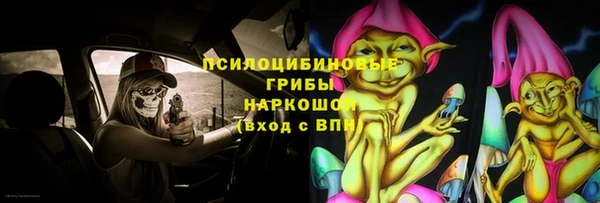 прущие крисы Алексеевка