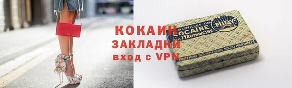 дурь Алексин
