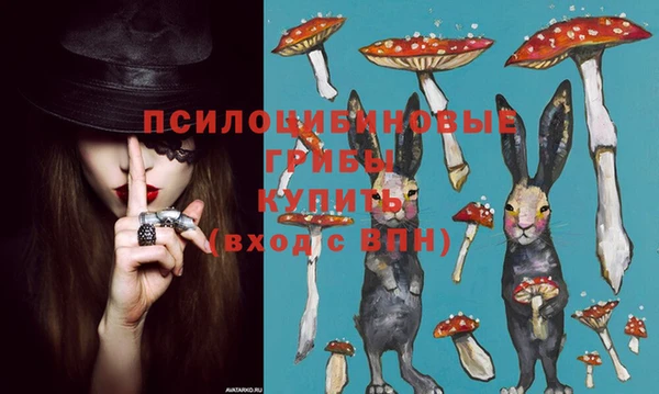 ГАЛЛЮЦИНОГЕННЫЕ ГРИБЫ Алзамай