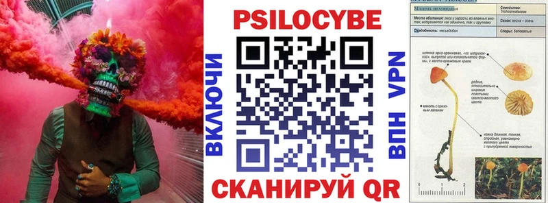 магазин продажи наркотиков  ОМГ ОМГ ссылки  Псилоцибиновые грибы мицелий  Славск 
